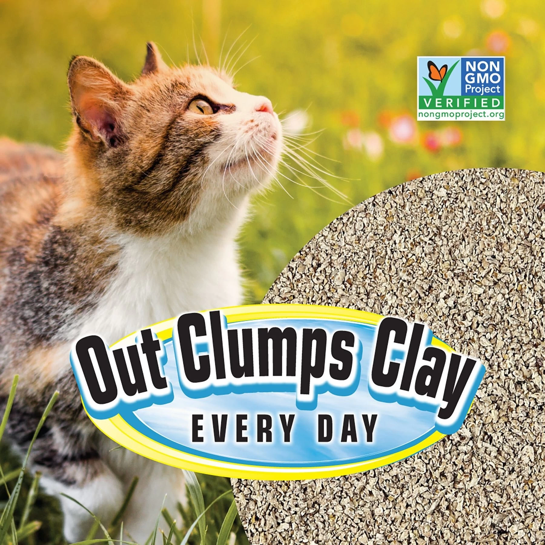 SmartCat All Natural Lightweight Corn & Wheat Clumping Cat Litter 6 SmartCat All Natural Lightweight Corn & Wheat Clumping Cat Litter - Image 4