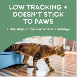 Naturally Fresh Quick Clumping Unscented Cat Litter, 40-lb Bag 16 Naturally Fresh Quick Clumping Unscented Cat Litter, 40-lb Bag -Purrfect Litter Shop 639646 PT7. AC SS1800 V1664228407