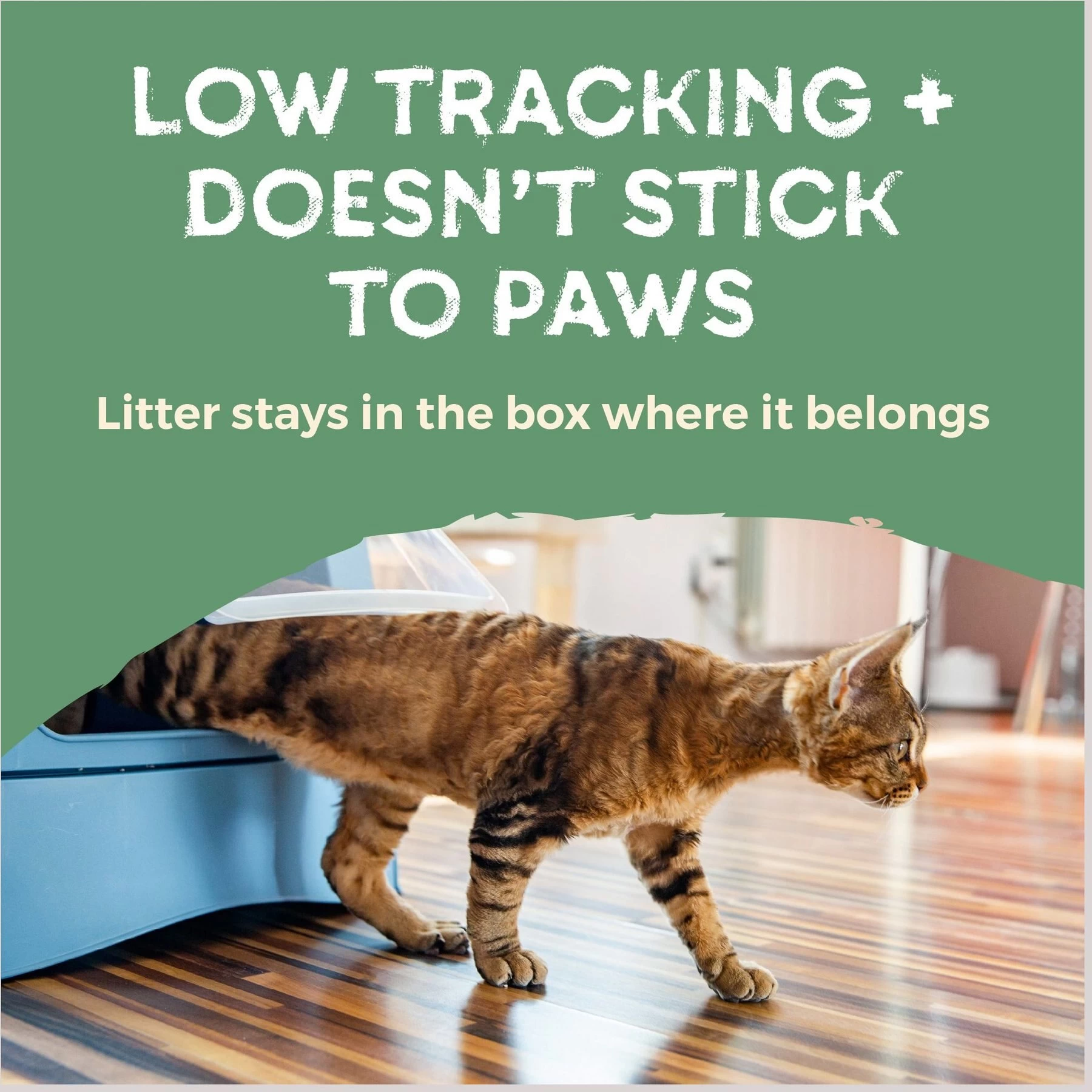 Naturally Fresh Quick Clumping Unscented Cat Litter, 40-lb Bag 9 Naturally Fresh Quick Clumping Unscented Cat Litter, 40-lb Bag - Image 7