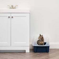 IRIS USA Open Top Litter Box With Scatter Shield -Purrfect Litter Shop 65498 PT2. AC SS1800 V1680803978