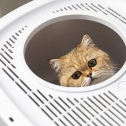 Hanamya Cat Front Entry Top Exit Cat Litter Box With Scoop, X-Large -Purrfect Litter Shop 677158 PT5. AC SS1800 V1680728859