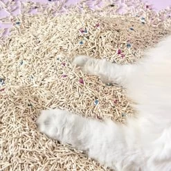 Michu Mixed Tofu Heavy Duty Flushable Kitty Litter, 5.5-lb Bag -Purrfect Litter Shop 686270 PT8. AC SS1800 V1666839382
