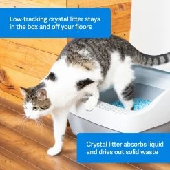 PetSafe ScoopFree Premium Crystal Litter 2-Pack & PetSafe ScoopFree Complete Reusable Litter Tray -Purrfect Litter Shop 694158 PT2. AC SS1800 V1668532511
