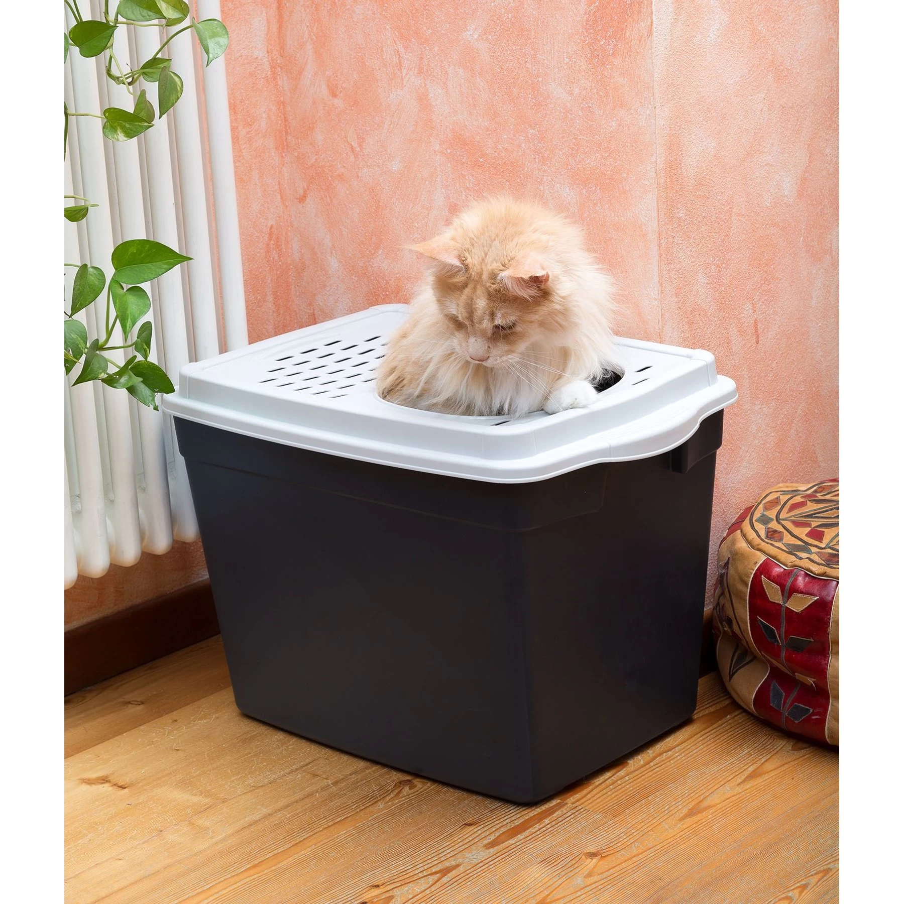 Ferplast "Jumpy" With Top Entrance Cat Litter Box, Black, Large 8 Ferplast "Jumpy" With Top Entrance Cat Litter Box, Black, Large - Image 6