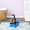 Van Ness Cat Litter Pan, Blue 1 Van Ness Cat Litter Pan, Blue -Purrfect Litter Shop 70438 MAIN. AC SS1800 V1565284453