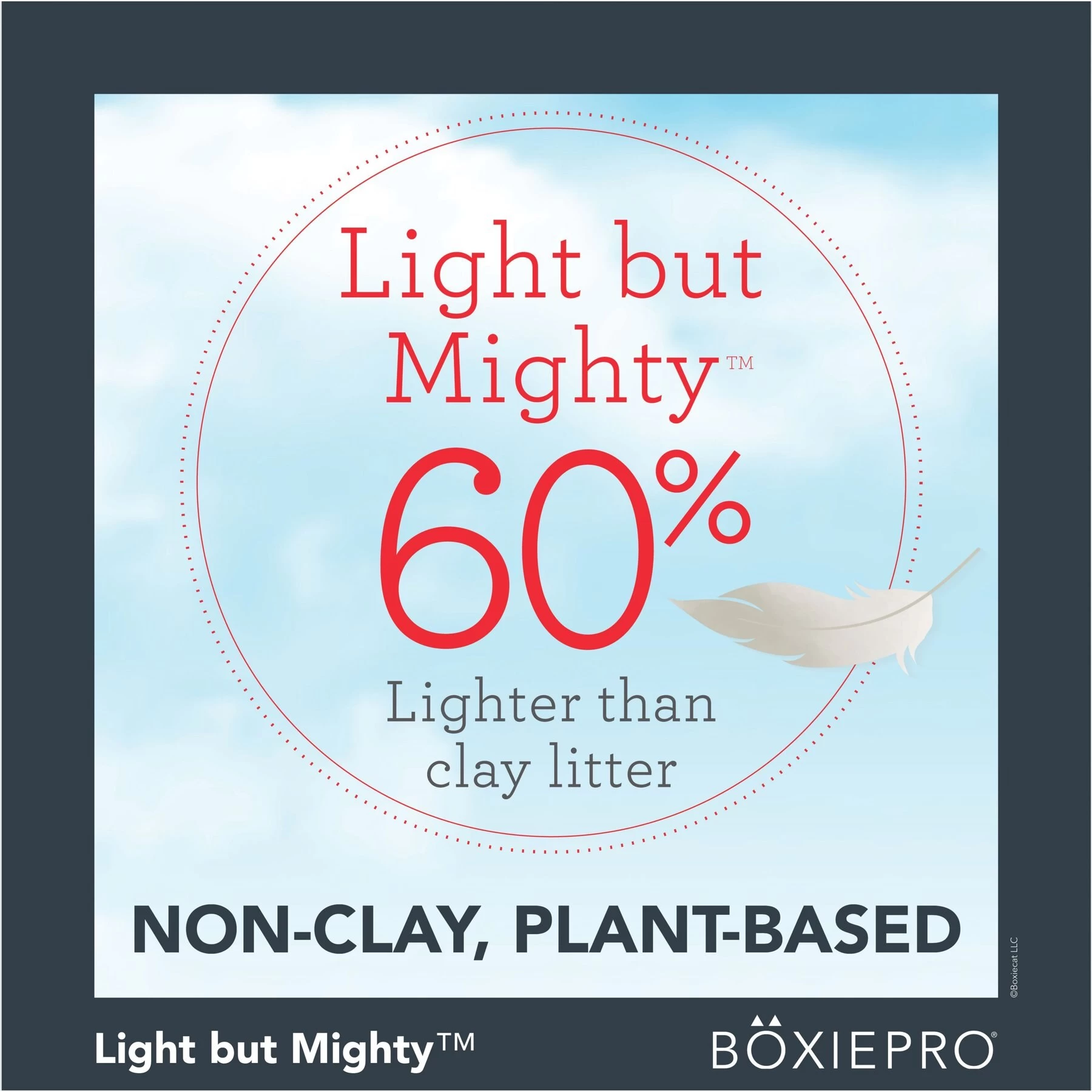 Boxiecat Air Lightweight Deep Clean Probiotic Unscented Clumping Cat Litter 5 Boxiecat Air Lightweight Deep Clean Probiotic Unscented Clumping Cat Litter - Image 3