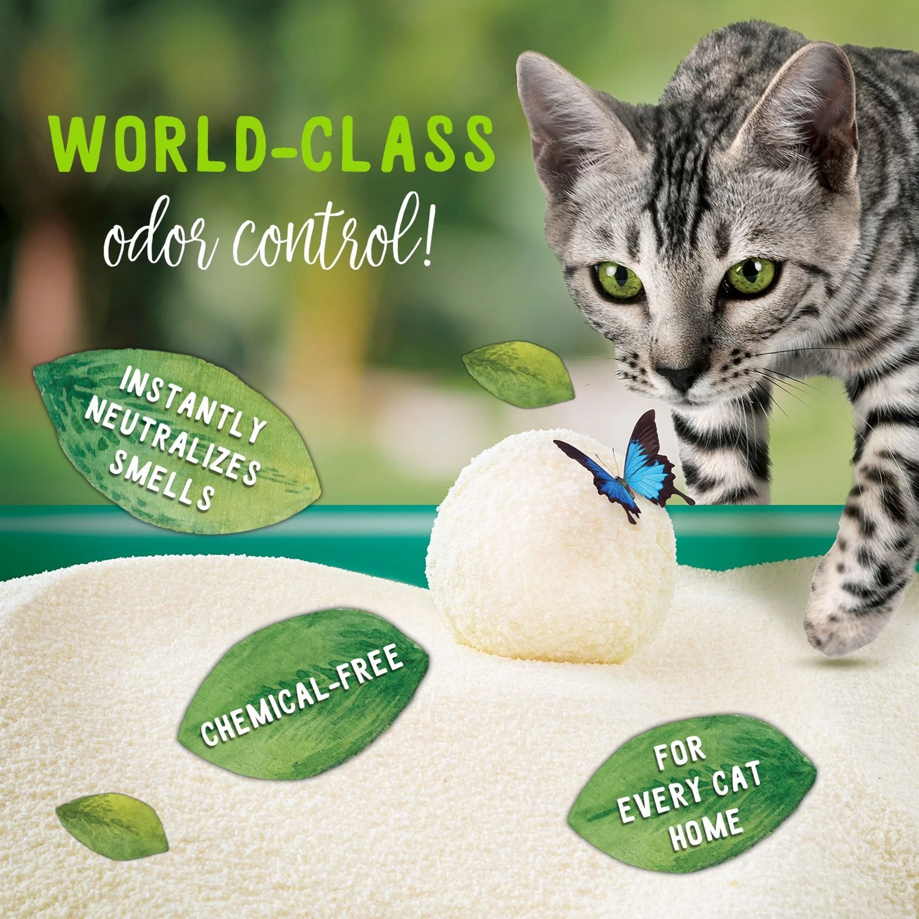 Sustainably Yours Large Grains Natural Cat Litter, 10-lb Bag 4 Sustainably Yours Large Grains Natural Cat Litter, 10-lb Bag - Image 2