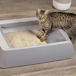 O.R.I./GRAYSTONE NATURAL Granular Tofu Cat Litter For Automatic Self-Cleaning Litter Box Robots, 4.5-lb Refill Bag -Purrfect Litter Shop 867366 PT3. AC SS1800 V1687887273