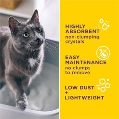 Tidy Cats Alert Health Monitoring Unscented Non-Clumping Cat Litter, 8-lb Bag 10 Tidy Cats Alert Health Monitoring Unscented Non-Clumping Cat Litter, 8-lb Bag -Purrfect Litter Shop 871510 PT3. AC SS1800 V1700256917