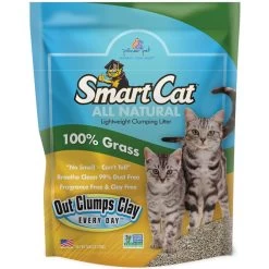 SmartCat Unscented Clumping Grass Cat Litter