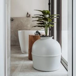 Bundle & Bliss Secret Litter Box Hidden Cat Litter Box Plant 13 Bundle & Bliss Secret Litter Box Hidden Cat Litter Box Plant -Purrfect Litter Shop 897430 PT2. AC SS1800 V1687891879