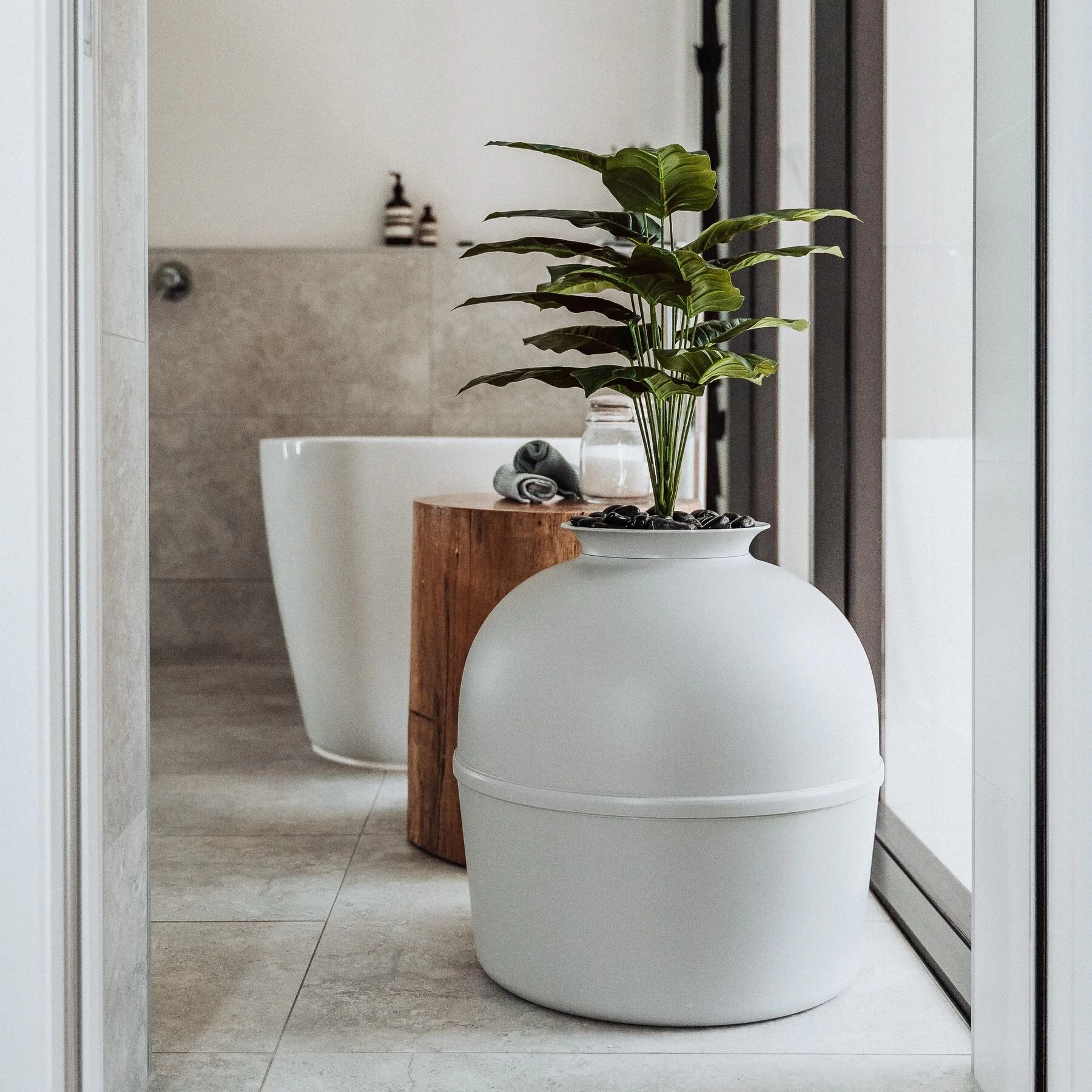 Bundle & Bliss Secret Litter Box Hidden Cat Litter Box Plant 5 Bundle & Bliss Secret Litter Box Hidden Cat Litter Box Plant - Image 3