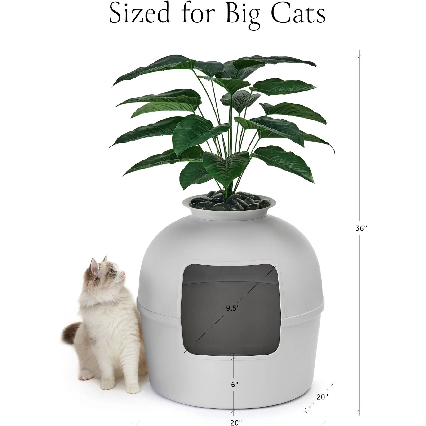 Bundle & Bliss Secret Litter Box Hidden Cat Litter Box Plant 8 Bundle & Bliss Secret Litter Box Hidden Cat Litter Box Plant - Image 6