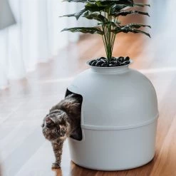 Bundle & Bliss Secret Litter Box Hidden Cat Litter Box Plant 17 Bundle & Bliss Secret Litter Box Hidden Cat Litter Box Plant -Purrfect Litter Shop 897430 PT6. AC SS1800 V1687887327