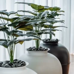 Bundle & Bliss Secret Litter Box Hidden Cat Litter Box Plant 19 Bundle & Bliss Secret Litter Box Hidden Cat Litter Box Plant -Purrfect Litter Shop 897430 PT8. AC SS1800 V1687891480