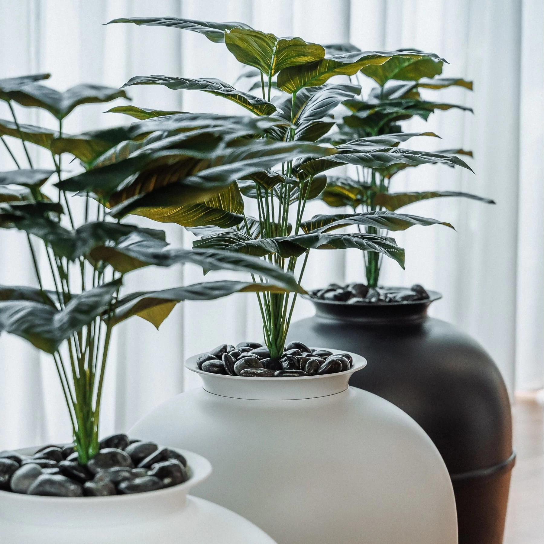 Bundle & Bliss Secret Litter Box Hidden Cat Litter Box Plant 11 Bundle & Bliss Secret Litter Box Hidden Cat Litter Box Plant - Image 9