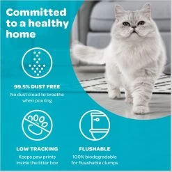 SWheat Scoop Fast-Clumping Unscented Natural Clumping Wheat Cat Litter 13 SWheat Scoop Fast-Clumping Unscented Natural Clumping Wheat Cat Litter -Purrfect Litter Shop 90868 PT4. AC SS1800 V1667518082