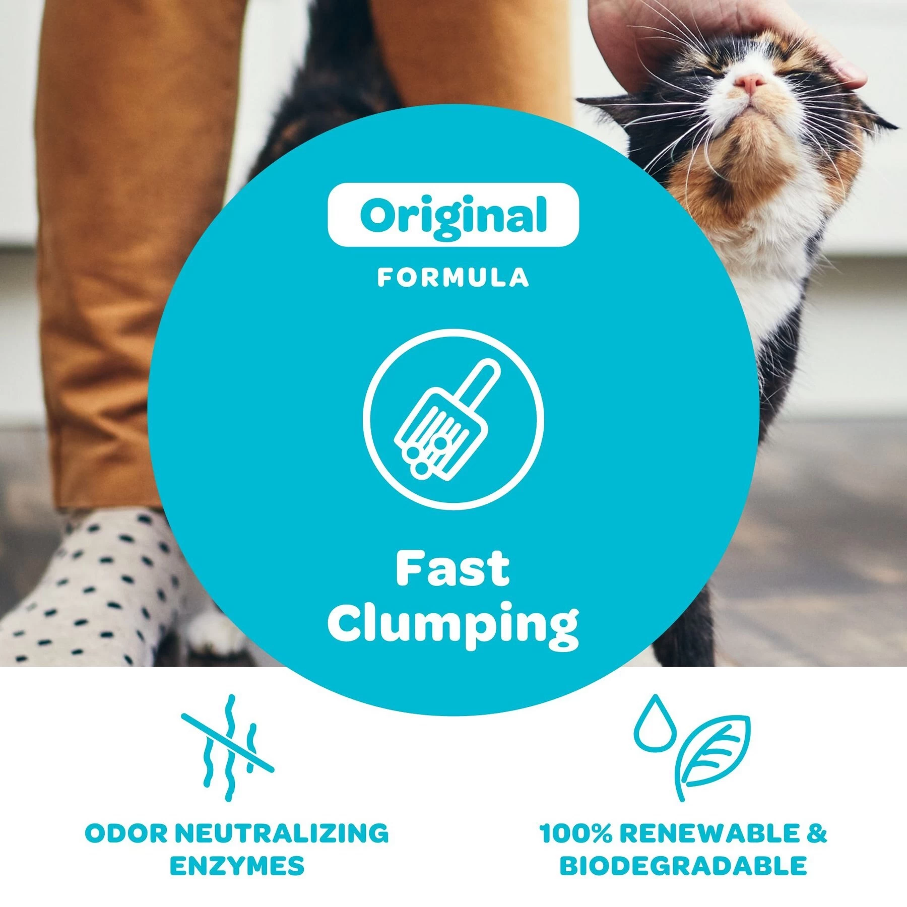 SWheat Scoop Fast-Clumping Unscented Natural Clumping Wheat Cat Litter 8 SWheat Scoop Fast-Clumping Unscented Natural Clumping Wheat Cat Litter - Image 6