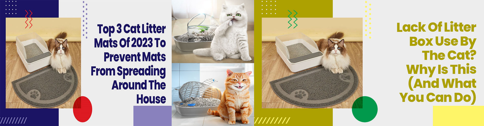 Purrfect Litter Shop -Purrfect Litter Shop litter banner